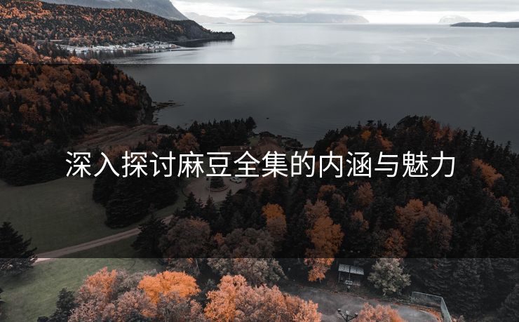 深入探讨麻豆全集的内涵与魅力  第1张