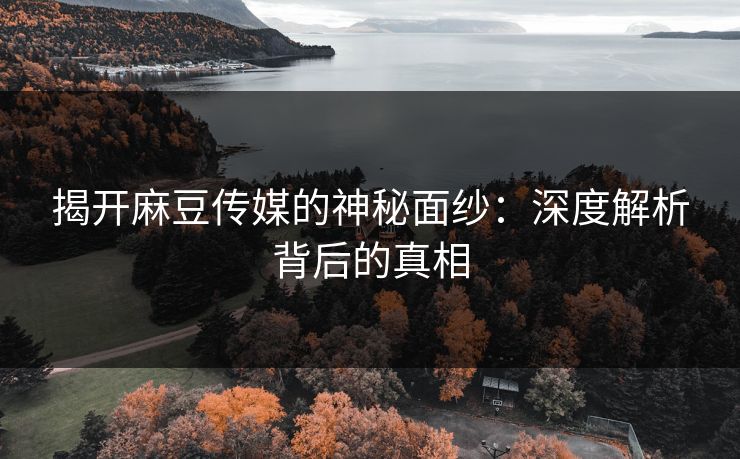 揭开麻豆传媒的神秘面纱：深度解析背后的真相  第1张