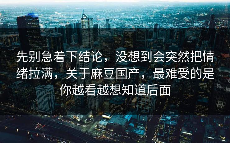 先别急着下结论,没想到会突然把情绪拉满,关于麻豆国产,最难受的是你越看越想知道后面 第1张 先别急着下结论,没想到会突然把情绪拉满,关于麻豆国产,最难受的是你越看越想知道后面 第1张