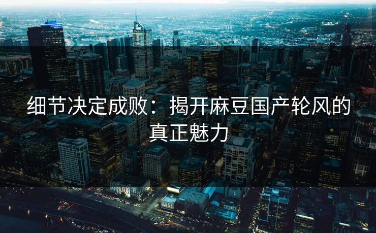 细节决定成败：揭开麻豆国产轮风的真正魅力  第1张